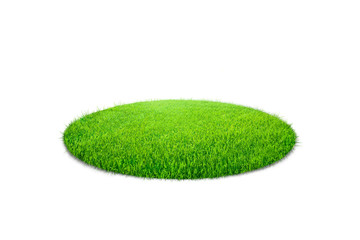 Grass