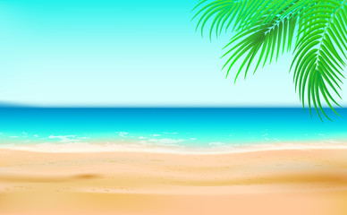 Fototapeta na wymiar sandy beach summer sea background with palm tree