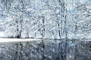Winter tree against with reflection in water.