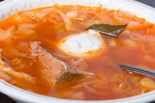 Cabbage soup. Traditional Russian cuisine