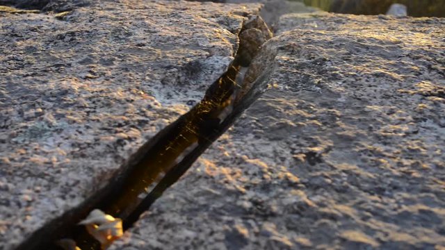 Telara&ntilde;a en grieta