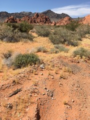 valley of fire state park, nevada
