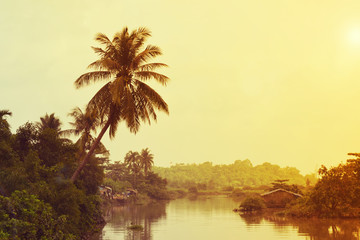 Obraz premium tropical river