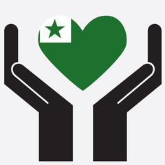 Hand showing Esperanto flag in a heart shape. Vector illustration. 