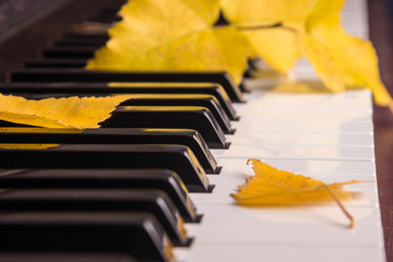Autumn leaves the keys on piano