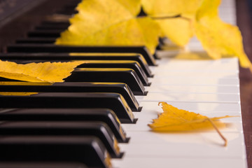 Autumn leaves the keys on piano © Alex Zegrachov