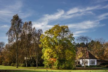 Naklejka premium Park 2