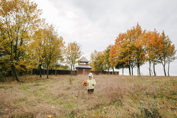 Little girl in the autumn park.with a bouquet of leaves.castle.f