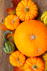 orange raw pumpkins harvest on table, top view