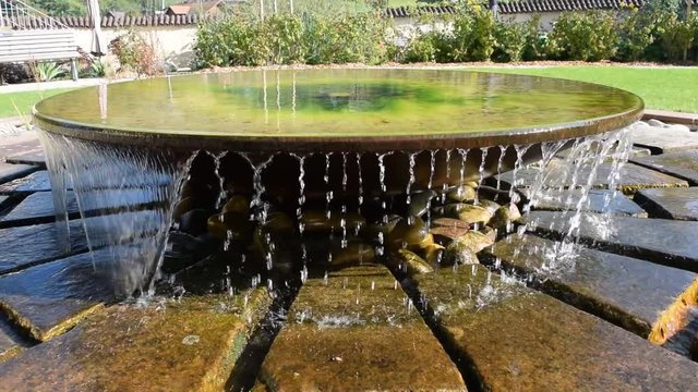 Runder &Uuml;berlaufbrunnen mit perlenden Wassertropfen und leuchtend, gr&uuml;nen Algen