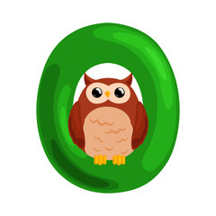 letter O with animal owl for kids abc education in preschool.