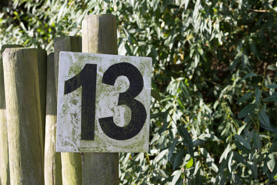 13 / dreizehn