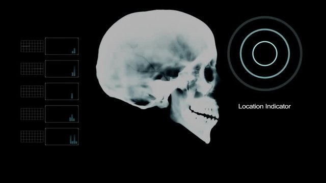 Biometric Scan Skull Profile Under X- Ray with other Elements