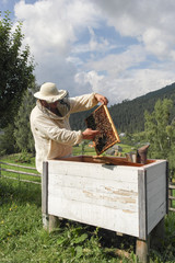 beekeeper checks his bees in the mountains