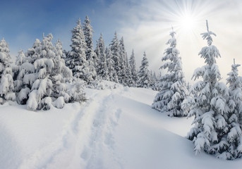 winter in mountains