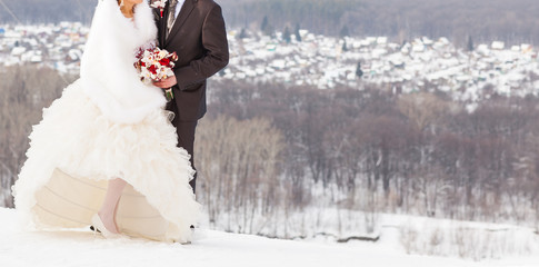 bride and groom in a winter frost with a snow