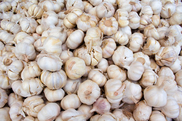 Bunch of garlic on the market.