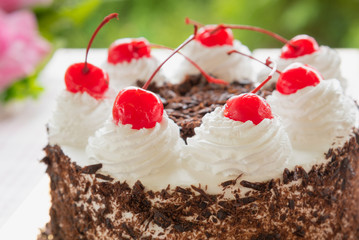Black forest cake decorated