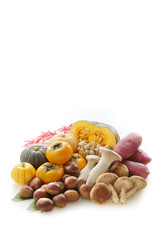秋の食材　Japan autumn foods