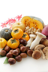 秋の食材　Japan autumn foods