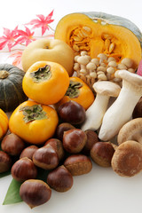 秋の食材　Japan autumn foods