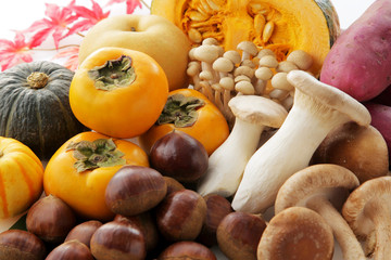 秋の食材　Japan autumn foods