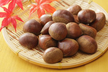 栗　Japan chestnuts