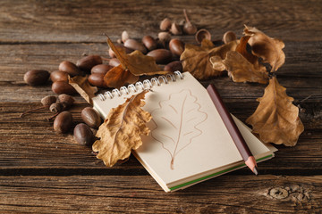 Autumn leaves on the old paper sheet