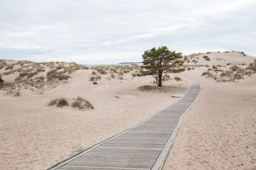 Dunes at Yyteri Beach 