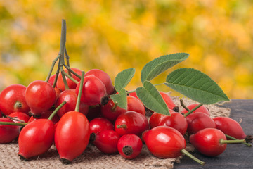 fresh rose hips on a dark board with sackcloth and blurred background