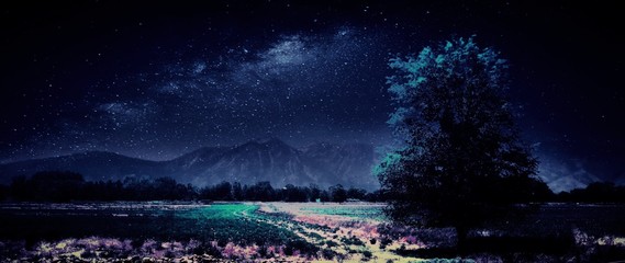 Moonlight on desert valley and tree © cammie