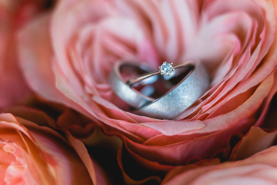 Eheringe auf einer Rose