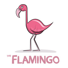 Flamingo Cartoon. Vector Pink Bird Illustration.
