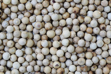 close up of white pepper