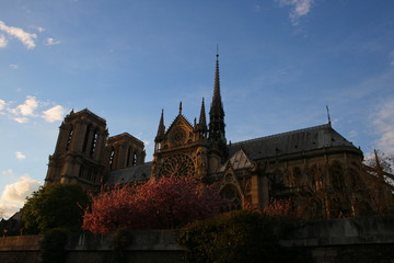 Fototapeta premium Paris