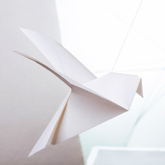 Origami paper dove