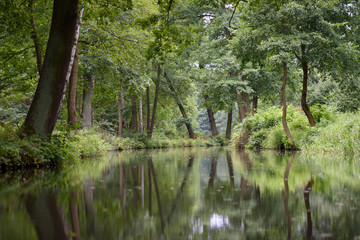 Spreewald vom Wasser aus 