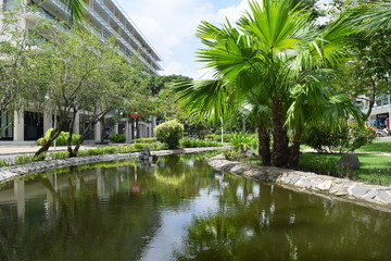 Fototapeta na wymiar stream canal in the city park