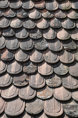 alte Biberschwanz Dachpfannen 