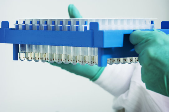 Cropped image of scientist holding test tube rack at laboratory