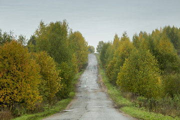 Autumn in the Village in russia nature