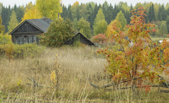 Autumn in the Village in russia nature