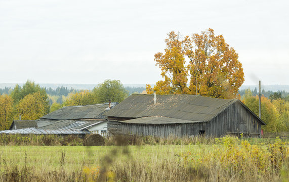 Autumn in the Village in russia nature