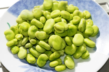 fresh broad beans
