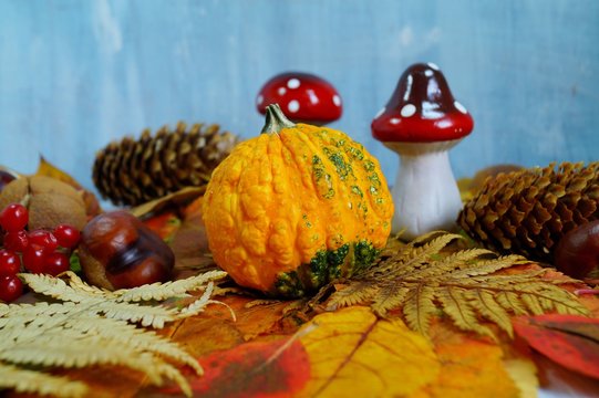 autumn decoration for Halloween - soft focus 
