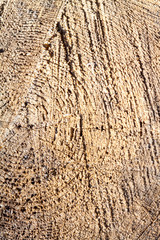 wooden board background