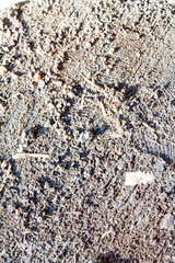 concrete stone closeup