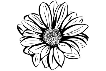  beautiful blooming flower garden