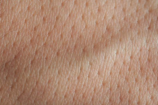 pores on man skin