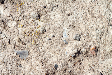concrete stone closeup